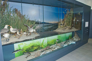 Klikni za veliku sliku