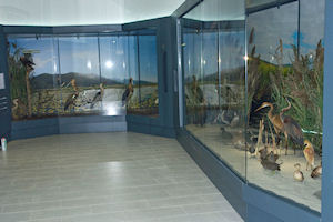 Klikni za veliku sliku