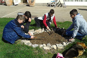 Klikni za veliku sliku