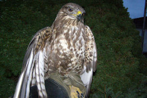 Klikni za veliku sliku