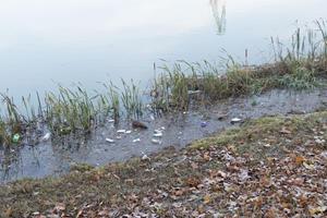 Klikni za veliku sliku Klikni za veliku sliku