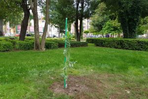 Klikni za veliku sliku