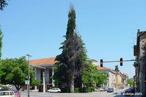 Klikni za veliku sliku