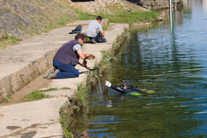 Klikni za veliku sliku