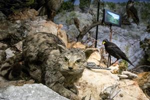 Klikni za veliku sliku