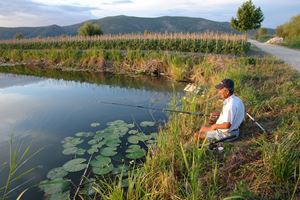 Klikni za veliku sliku