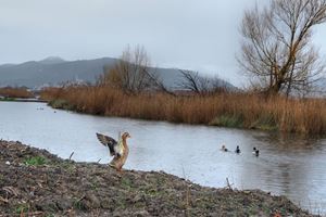Klikni za veliku sliku