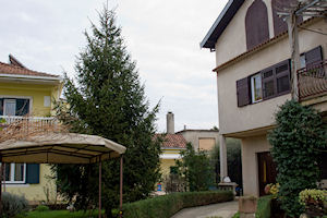 Klikni za veliku sliku