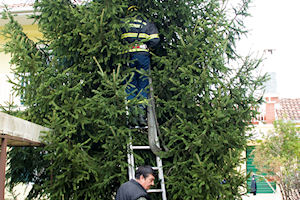 Klikni za veliku sliku