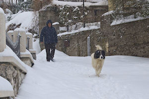 Klikni za veliku sliku