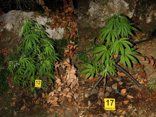 Klikni za veliku sliku