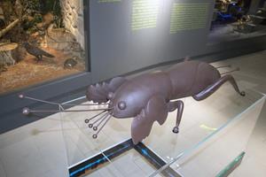 Klikni za veliku sliku