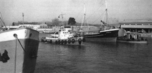 Klikni za veliku sliku