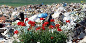 Priroda se brani koliko moe