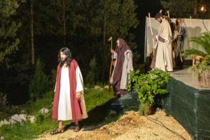 Klikni za veliku sliku