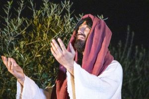 Klikni za veliku sliku