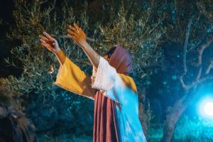 Klikni za veliku sliku