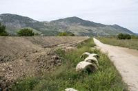 Klikni za veliku sliku