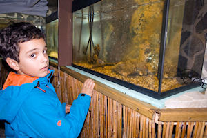 Klikni za veliku sliku