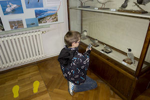 Klikni za veliku sliku