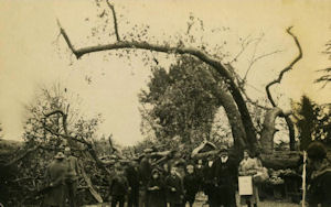 Klikni za veliku sliku