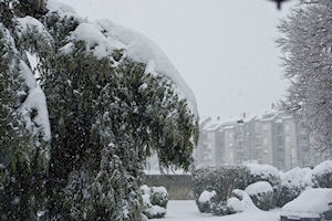 Klikni za veliku sliku