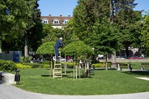 Klikni za veliku sliku