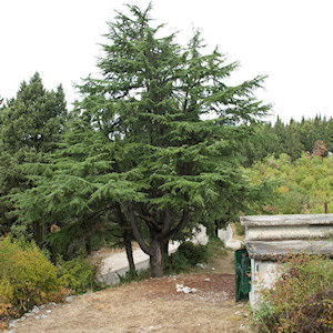 Klikni za veliku sliku