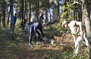 Klikni za veliku sliku