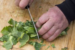 Klikni za veliku sliku