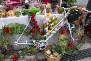 Klikni za veliku sliku