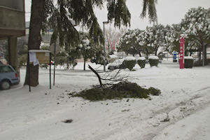 Klikni za veliku sliku