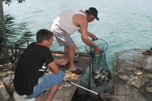 Klikni za veliku sliku