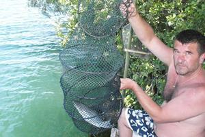 Klikni za veliku sliku