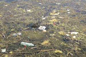 Klikni za veliku sliku