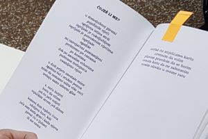 Klikni za veliku sliku