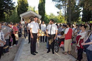 Klikni za veliku sliku