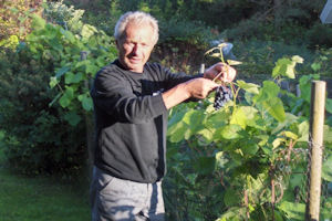 Klikni za veliku sliku