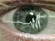 Detektor lai - Biraj!