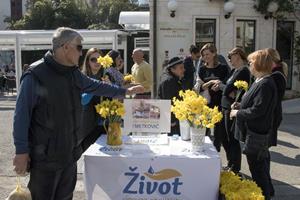 Klikni za veliku sliku